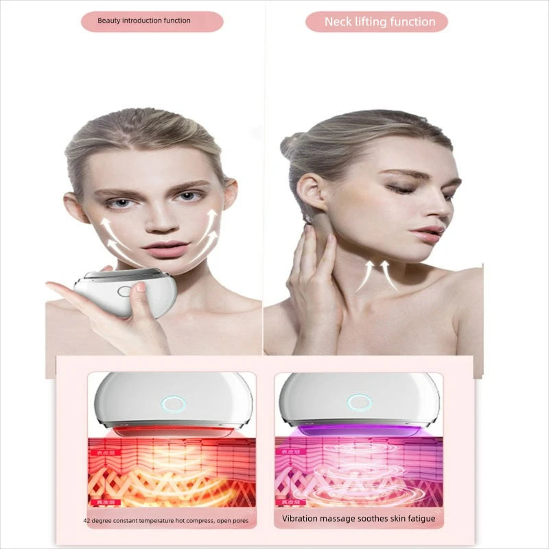 Electric Face Skin Care Machine